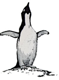 Penguin drawing